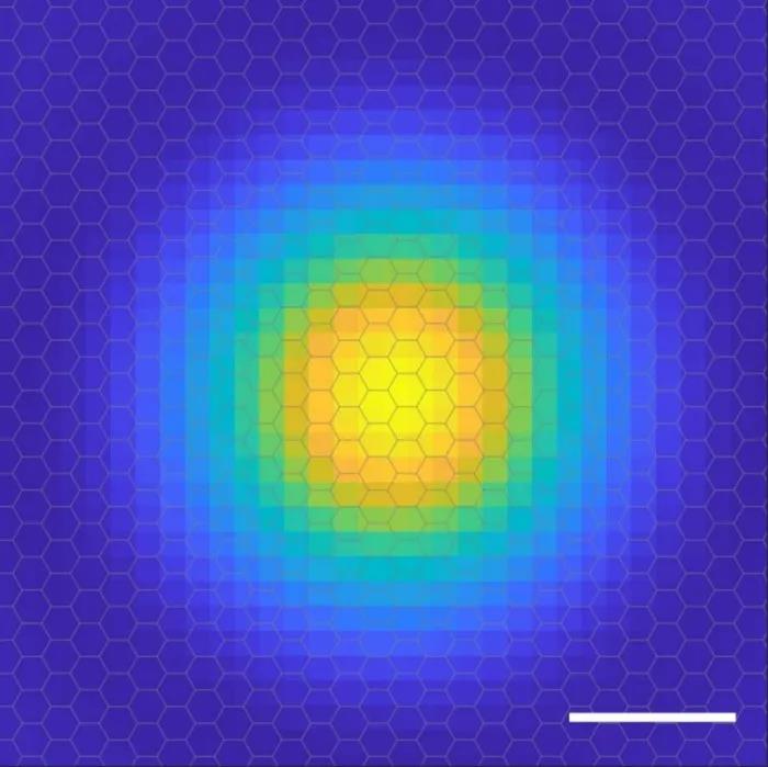 Satu abad setelah ditemukan, manusia telah menangkap gambar orbital elektron dari excitons untuk pertama kalinya